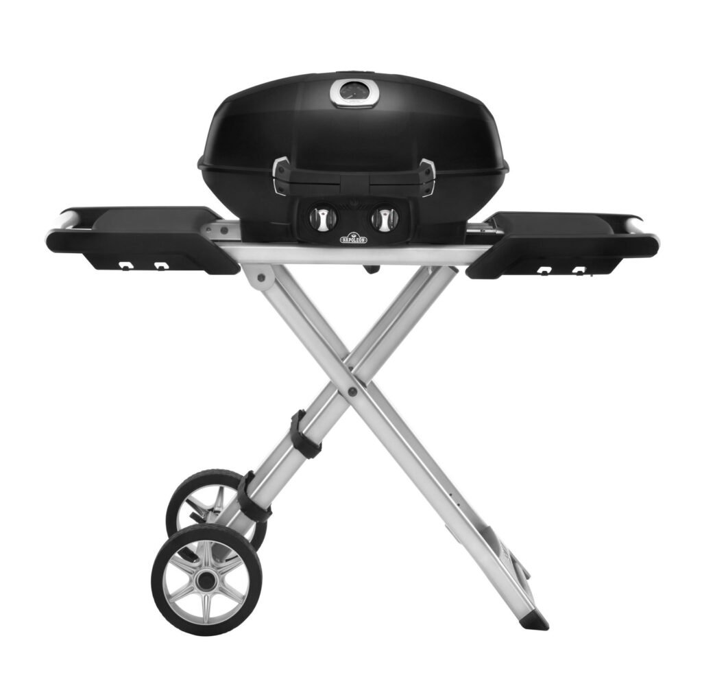 Napoleon Grill