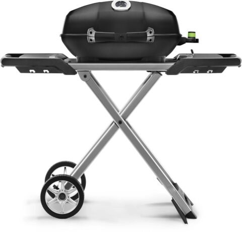 Napoleon Grill