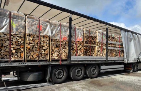 LKW-Ladung Buchen-Brennholz 22 Paletten kammergetrocknet PEFC-zertifiziert